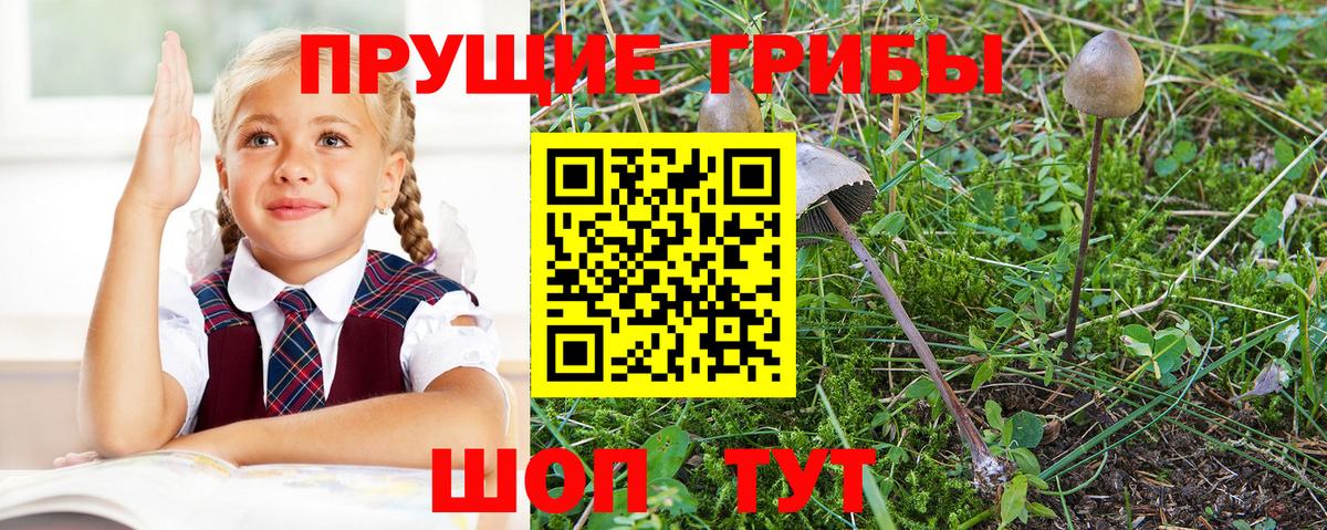 наркотики  Псилоцибиновые грибы прущие грибы  Вход с VPN  Чусовой 