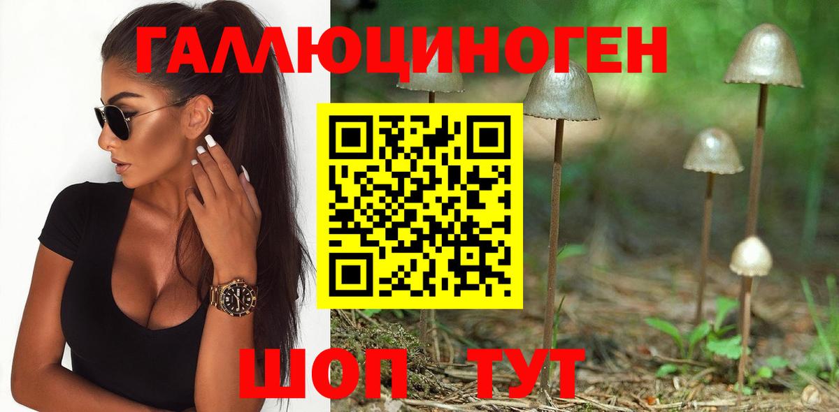 Галлюциногенные грибы Psilocybine cubensis Чусовой
